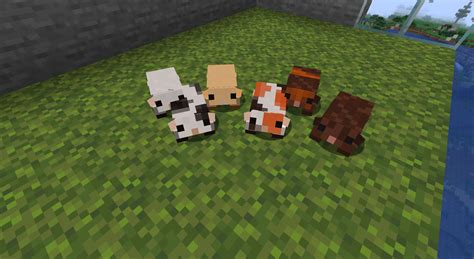 Guinea Pigs Screenshots Minecraft Mods Curseforge