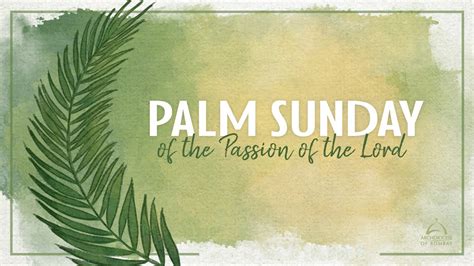 Incredible Compilation Of Over 999 Palm Sunday Images Including