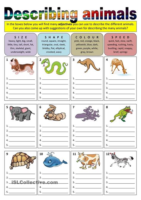 Describing Animals Adjectives Adjetivo Ingles Basico Para Niños