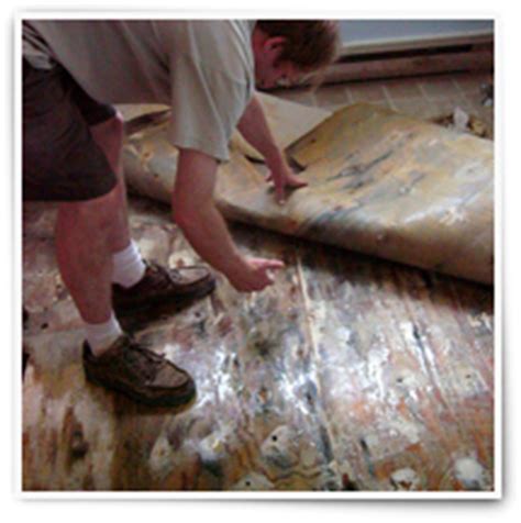 Allow both carpet and floor boards to dry for an hour.now with the mold cleaned, mold roots killed we turn to mold prevention. Signs Of Black Mold Under Carpet - Carpet Vidalondon