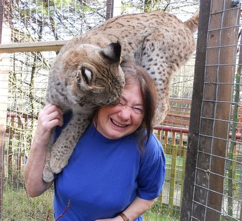Lillith The Lynx Zoo Banned From Keeping Dangerous Animals Daily Mail