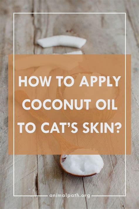 Cat Dandruff Remedies To Soothe Your Cat S Flaky Skin Artofit