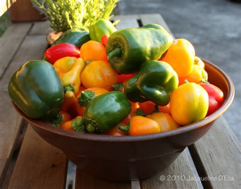 Maybe you would like to learn more about one of these? Easy Tips for Fall Vegetable Gardening in Houston