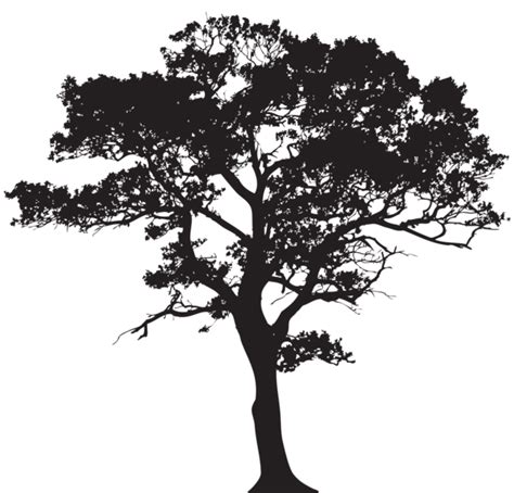 Silhouette Tree PNG Clip Art Image | Tree silhouette tattoo, Tree silhouette, Silhouette clip art