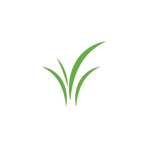 25600 Grass Logo Stock Illustrations Royalty Free Vector Graphics