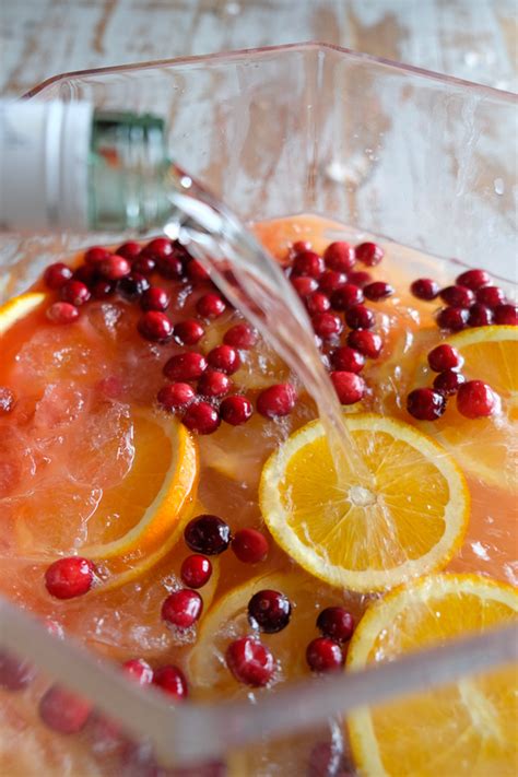 And made this christmas drink with coconut rum and mint that brings the perfect blend of summer flavors and a hint of holiday sparkle. Holiday Rum Punch - Shutterbean