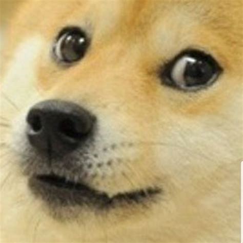 Doge 1080x1080 1080 X 1080 Doge Cheems Crying Buff Doge Meme Coffee