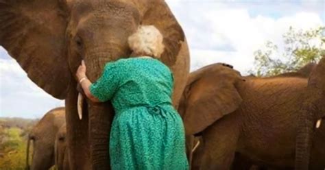 Video A Group Of Elephants Lines Up To Hug This Woman Who Has Raised