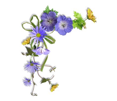 Free Blue Flower Border Png Download Free Blue Flower Border Png Png