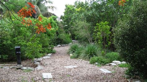 Key West Tropical Forest And Botanical Garden