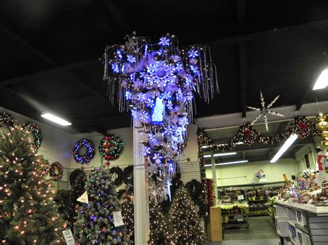 Over the centuries, the tradition made it to american homes, too. Sheer Serendipity: Upside down Christmas tree?