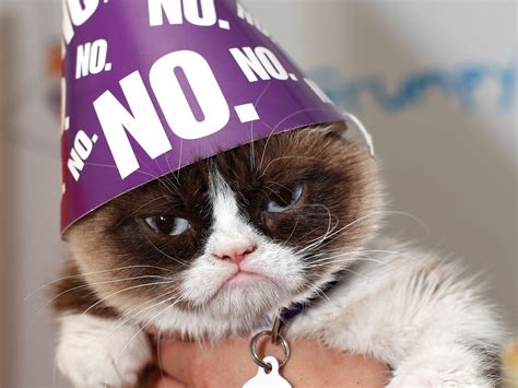 Happy Birthday To Me Grumpy Cat