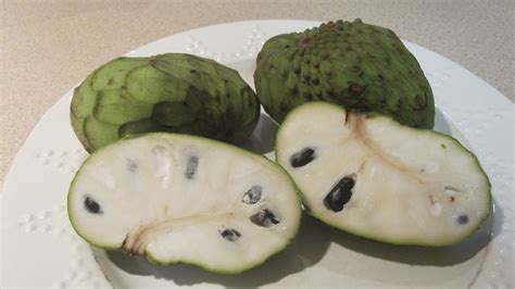 A tropical american tree having. Cannundrums: Cherimoya