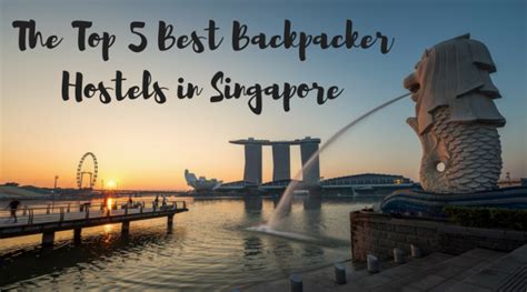 The Top 5 Best Backpacker Hostels In Singapore Global Gallivanting