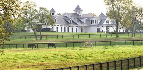 Horse Farm Tours In The Horse Capital Of The World Lexington Kentucky