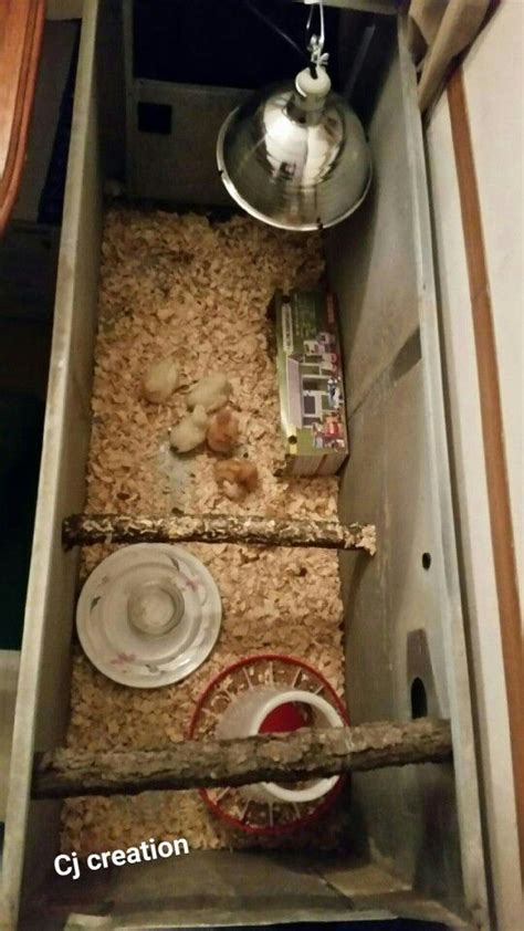 Petsmart offers a wide selection of dog food bowls and feeders including: Old furnace made into chicken coop | Dog bowls, Food, Oatmeal