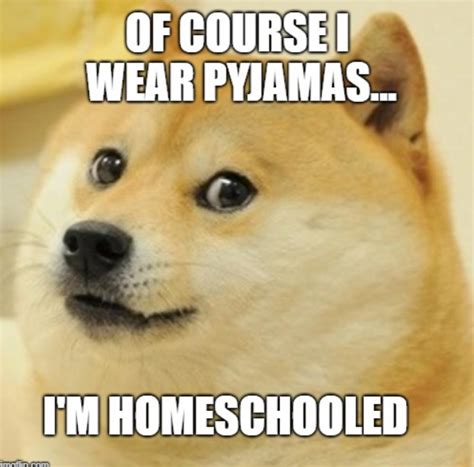 Homeschool Meme Alert How Do I Homeschool Funny Dogs Funny Animals