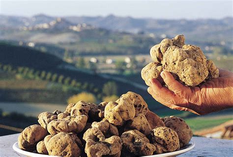 The Foodie Guide To Italian Truffles Italy Magazine