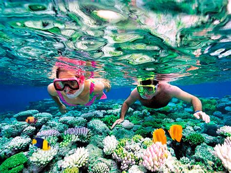 What To Look For While Snorkeling In Cancun Cancun Great