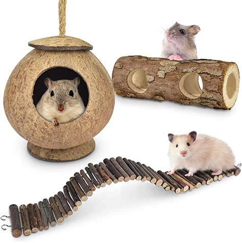 Hamster Toys For Real Hamsters