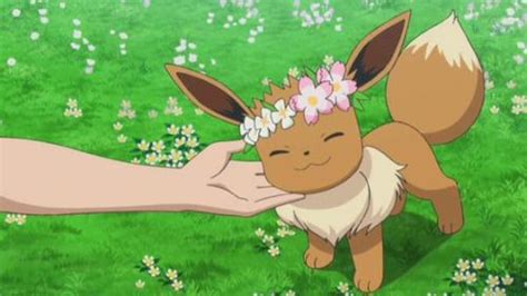 Eevee Flower Crown And Nintendo Image Pokemon Go Cute Pokemon