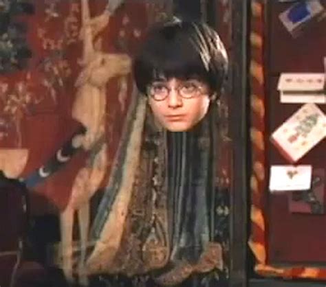 Harry Potter Invisibility Cloak Invented By Scientists Mirror Online