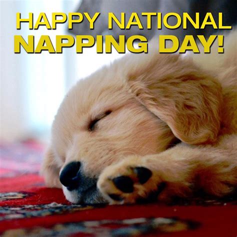 National Napping Day Latest News Breaking Headlines And Top Stories