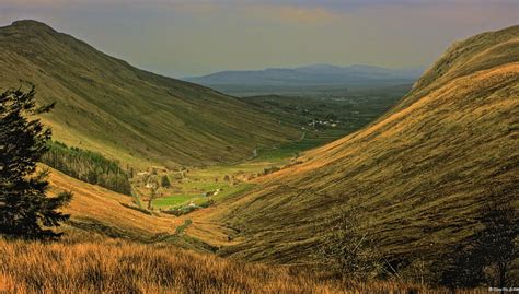 Rolling Hills Of Ireland Hills Tree Ireland Grass Mountains Hd