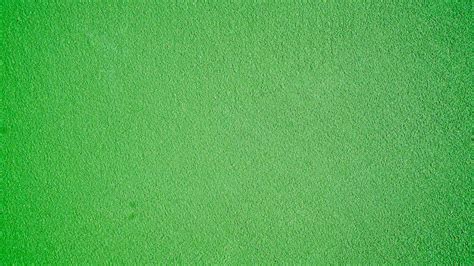 Green Wallpapers Free Hd Download 500 Hq Unsplash