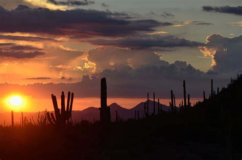Sonoran Desert Sunset By Angella Parker 500px
