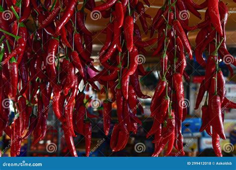 Organic Red Hot Chili Peppers Hanging Outdoors On Market Closeup Stock