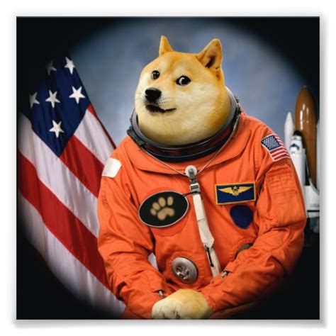 Astronaut Dog Doge Shibe Doge Memes Photo Print