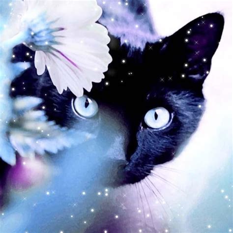 Diy Mystical Black Cat Diamond Painting Cross Stitch Craft Kit