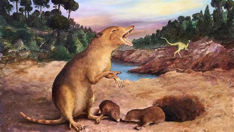 Marsupial And Placental Mammals Evolved In Gondwana Paleontologists Say Scinews