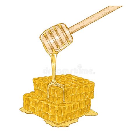 Hand Drawn Set Of Honeycomb With Honey Stick Vector Sketch Stock