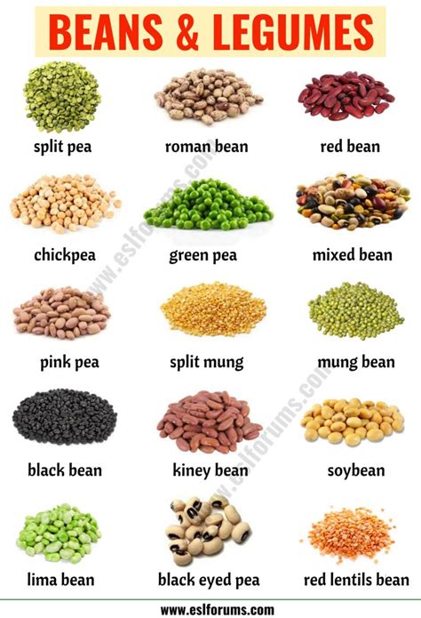 types of beans 15 different types of beans and legumes with the picture esl forums