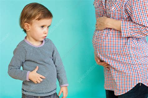 Pregnant Mother Stock Image C0326333 Science Photo Library