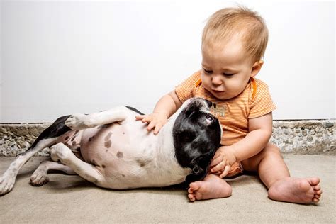 Adorable Photos Of Dogs And Babies Playing Together Readers Digest