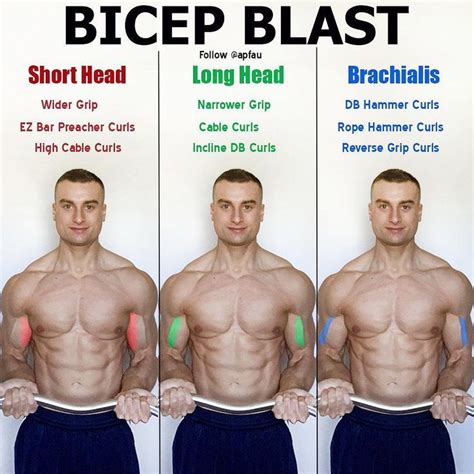 Biceps Workout That Will Have You Bursting Through Your Sleeves