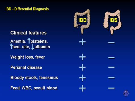 Inflammatory Bowel Diseases Online Presentation