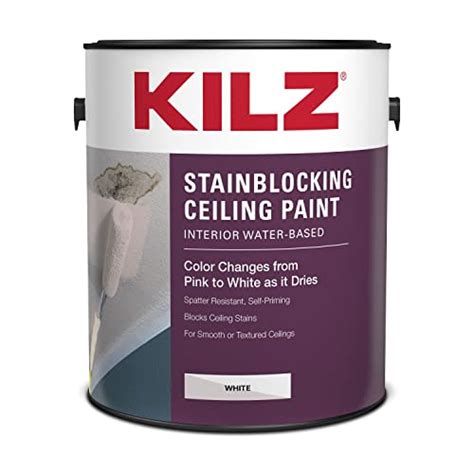 Top 10 Best Bright White Ceiling Paint Reviews And Buying Guide Katynel