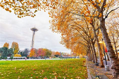 This Is When Fall Foliage Is Expected To Peak In Seattle This Year