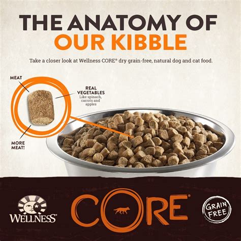 Picking the best dog food for the price. Wellness CORE Natural Grain Free Dry Dog Food at dogmal.com