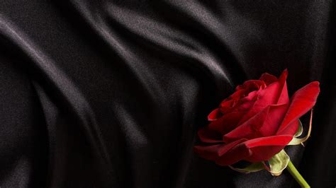 Black And Red Rose Wallpapers Top Hình Ảnh Đẹp