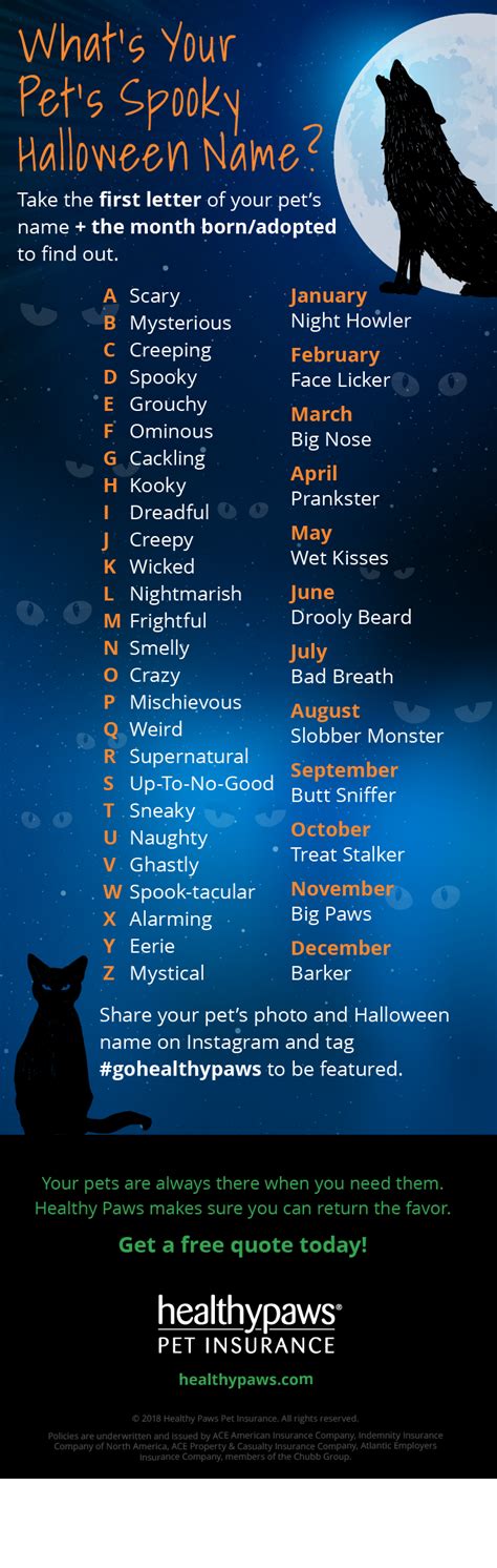 • artoo dogtoo (a pun on the iconic droid of star wars fame). What's Your Pet Spooky Halloween Name? - Golden Woofs