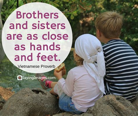 If you are lucky to have a brother or a sister, or both, you know what it's like to love each other more than anyone else and be mad at this person because of some silly quarrel. 35 Sweet and Loving Siblings Quotes | SayingImages.com