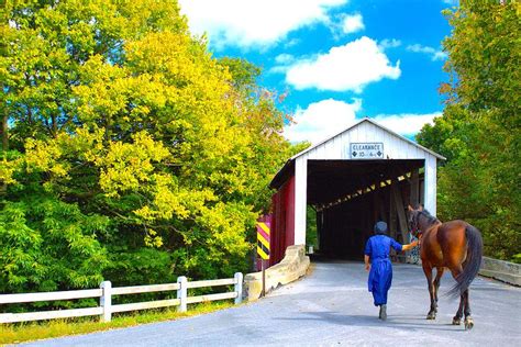 Amish Covered Bridge Covered Bridges Amish Horses