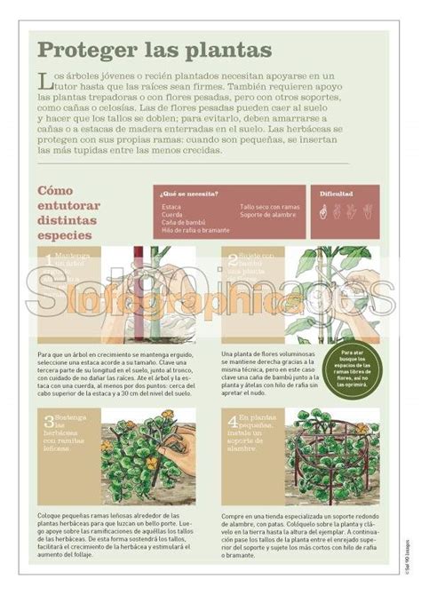 Infografía Proteger Las Plantas Infographics90