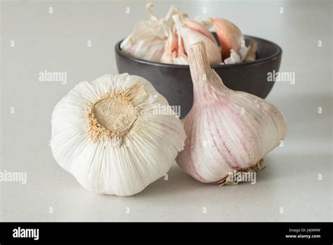 Whole Garlic Bulbs Stock Photo Alamy