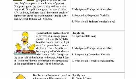 40 Simpsons Scientific Method Worksheet Answer Key - combining like